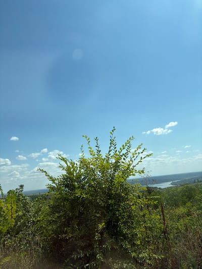 The image depicts a scenic outdoor view from a hilltop overlooking a body of water and a distant landscape, likely a town or city. The foreground is dominated by lush green vegetation, including trees and shrubs, with one prominent bushy tree in the center. The sky is a clear blue with scattered white clouds, and a faint circular lens flare is visible in the upper portion of the sky. The terrain appears to be uneven, with the vegetation growing on a slope. In the middle ground, a wide river or lake stretches across the scene, with the opposite bank featuring more greenery and a settlement. The overall impression is one of a tranquil, natural environment with a visible human presence in the distance. The location is identified as Marcăuți, Moldova.