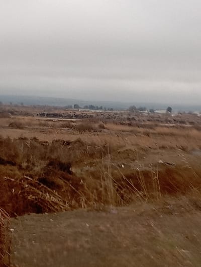 The scene presents an expansive, unpopulated, and largely uncultivated landscape within the city of Jarqurgon, Uzbekistan, under a uniformly overcast, light grey sky. The immediate foreground consists of dry, brown and yellowed grasses intermixed with exposed, reddish-brown soil, forming an uneven surface. Scattered taller, thin stalks of dry vegetation are visible. The midground exhibits similar dry, sparse vegetation across a subtly undulating terrain, featuring slight rises and depressions. Along the distant midground and horizon, indistinct dark shapes suggest sparse tree lines or distant structures, blending into the atmospheric haze beneath the uniform sky. No human figures, specific man-made objects, or active interactions are present.