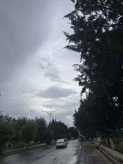 The image depicts a street scene in Batken, Kyrgyzstan, under an overcast sky. A wet road, suggesting recent or ongoing rain, runs diagonally from the lower left to the upper right of the frame. Several vehicles are visible: a white sedan in the foreground on the right side of the road, another white sedan further back on the left, and a silver SUV and other cars parked or driving in the distance. Trees line both sides of the road, with dense, dark foliage on the right and lighter green trees on the left. A unique, stylized street lamp or decorative pole is visible in the middle ground. Parked benches can be seen along the right side of the road in the background. The overall atmosphere is subdued due to the cloudy weather.