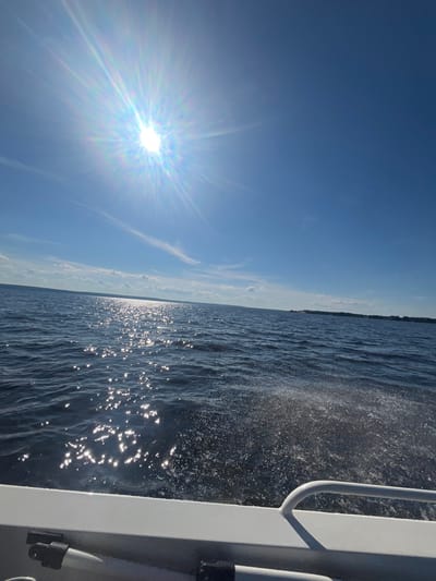 This media file captures a scenic view of a body of water, likely a lake or a wide river, under a bright, sunny sky. The sun, positioned in the upper left quadrant, is a brilliant starburst of light, casting a strong glare across the scene and creating shimmering reflections on the water's surface. wispy clouds streak across the otherwise clear blue sky.
The perspective suggests the image was taken from a moving vessel, possibly a boat. To the right of the frame, a portion of the boat's railing and superstructure is visible, rendered in a light color. The water is choppy, with spray being kicked up by the boat's movement, especially noticeable in the mid-right section of the image. The water itself is a deep, dark blue, contrasted by the bright, scattered highlights of sunlight.
In the distance, a faint, dark line of land is visible on the horizon, suggesting a shoreline or a distant landmass. The overall impression is one of a bright, clear day at sea or on a large lake, with a sense of movement and the enjoyment of being outdoors on the water. The time of day is clearly midday due to the intensity of the sun and the presence of strong shadows. There is no visible text in the media file.
