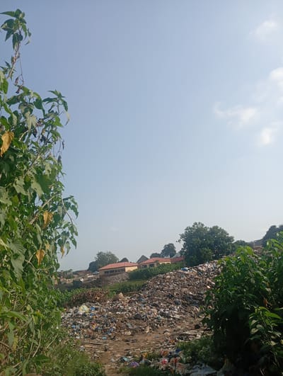 The image depicts a large, overflowing landfill situated in Gwagwa, Nigeria. The scene is dominated by a massive pile of assorted garbage, including plastic bottles, bags, and other refuse, spread across a sloped terrain. In the background, several buildings with reddish-brown roofs are visible, suggesting a nearby settlement. Lush green vegetation, including trees and bushes, flanks the landfill, with some plants in the foreground partially obscuring the view. The sky is clear and light blue, with a few wispy clouds, indicating fair weather and likely daytime, possibly late morning or early afternoon given the brightness and soft shadows. The overall impression is one of environmental neglect and a significant waste management challenge. No people or text are clearly visible in the image.