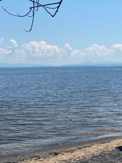 This is a landscape photograph of a calm body of water meeting a sandy shore. The image is oriented vertically. On the left side of the frame, a dark, leafless tree branch extends into the sky. The sky is a clear, pale blue, with several large, fluffy white clouds drifting by. The main subject of the image is the expansive, rippling surface of the water, which occupies the majority of the frame. The water is a deep blue-gray, with numerous small waves creating a textured, almost striped effect. The sunlight glints off the water's surface in places, creating small sparkles.
The shoreline is visible on the right side of the image, composed of sand and some darker, rougher terrain. The transition from water to land is sharp. In the distance, a faint, hazy outline of land or mountains can be seen, suggesting a vast open space. There is a very small white speck in the water, which might be a distant boat or buoy, but it is too indistinct to be certain.
The lighting suggests it is daytime, likely late morning or early afternoon, with the sun positioned such that it casts highlights on the water. The weather appears clear and fair, with the presence of the fluffy clouds indicating a pleasant day. The overall mood of the image is peaceful and serene, evoking a sense of nature's tranquility. There is no visible text in the image. The location context provided is the Town of Peru, United States of America, which is consistent with a broad, open landscape with water.