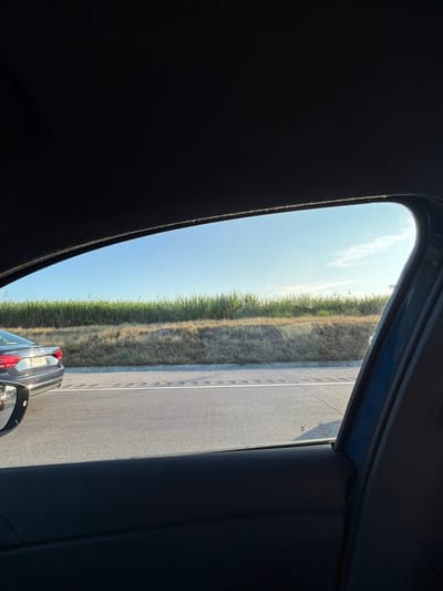 View from a car window shows a stretch of highway with adjacent vegetation against a clear sky. The road is gray with white lines. A car is partially visible in the lower right corner of the frame. The car's interior frame surrounds the outside scenery. The left side is dark, presumably part of the car's interior. The photograph's angle is slightly tilted.