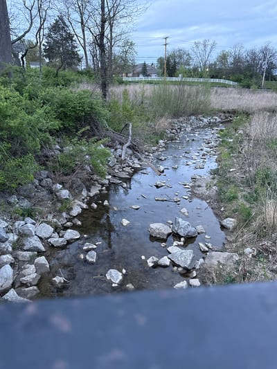 The image depicts a rocky creek bed with shallow water, partially obstructed on the right side by a dark, blurry object. Light-colored rocks of varying sizes are scattered throughout the creek and along its banks. Vegetation, including bushes and tall grasses, lines the edges of the creek. In the distance, a white fence is visible, along with power lines and houses. The overall scene appears to be a natural area within a suburban or semi-rural setting. I don't have specific contextual information to confidently correlate the image with a location in Grove City, USA, but the landscape suggests a residential area with a natural creek running through it.