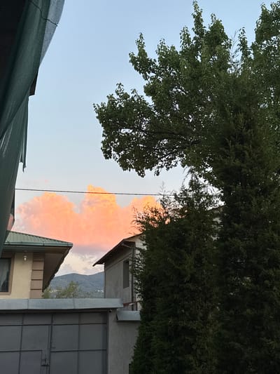 A daytime exterior shot captures a view of buildings and trees against a sky with pink clouds. On the left, a building with a beige facade and a green roof is partially obscured by a green mesh screen. To the right of this building, another structure with a gray facade and a brown roof is visible. In the foreground, a large metal gate spans the width of the image. Two trees with dense green foliage frame the scene, one on the left and a larger one on the right. In the distance, a range of mountains is visible. The overall impression is one of a residential area at dusk.