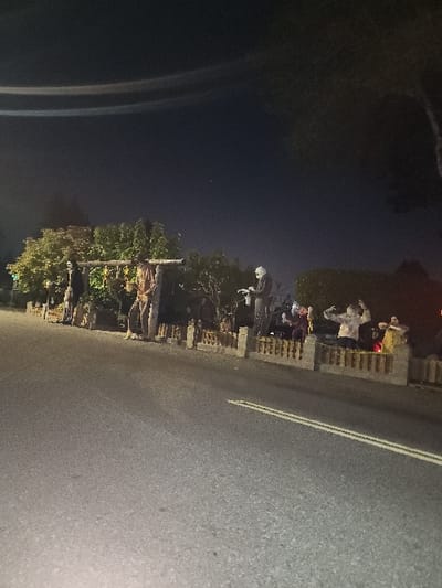 This image captures a residential street scene at night in Lakewood, United States. The foreground features an asphalt roadway with two solid white double-yellow lines. Elevated above the street is a property's front yard, bordered by a low fence composed of light-colored masonry pillars and dark wooden rails.

The yard contains an arrangement of Halloween-themed static figures. From left to right: A tall, dark skeletal figure is positioned next to a shorter, stockier dark-colored creature. Behind these, a wooden archway supports several hanging, illuminated objects. Further right, a tall, dark-clothed figure stands near a shorter, pale-clothed figure that is bent forward over an object. To the far right, a group of multiple figures, exhibiting pale skin tones and tattered garments consistent with zombie or ghoul portrayals, are arranged. One figure has arms elevated. The display is illuminated by unseen artificial light sources, casting light upon the figures and surrounding vegetation. The background comprises dark foliage and a dark night sky. Two faint, concentric atmospheric rings or light aberrations are visible in the upper sky, along with a single bright point of light. No living individuals are present; all depicted subjects are inanimate decorations.