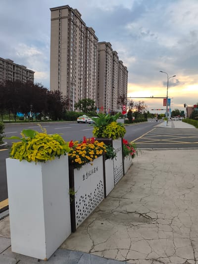 In Jiguan District, China, a view of a street scene unfolds with tall residential buildings dominating the background under a cloudy sky with hints of sunset light. The foreground features white planter boxes filled with vibrant yellow and red flowers, as well as lush green foliage. The planter boxes have decorative triangular cutouts and text that appears to be in Chinese characters. A cracked concrete sidewalk runs alongside the planters. Across the street, a road is visible with a white taxi, other vehicles, and traffic lights. Trees line the side of the road, and a pedestrian crossing is marked with yellow lines. The overall impression is a well-maintained urban environment with decorative elements.