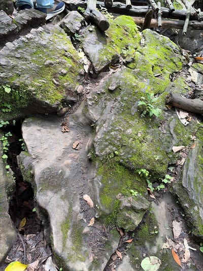 The image shows a close-up view of a rocky path covered in moss and fallen leaves. Several large, grey rocks are visible, some partially obscured by vibrant green moss. Small plants and sprouts are growing in the crevices and on the surface of the rocks. Scattered brown and yellow leaves lie on the ground and among the rocks. In the upper left corner, a person's feet, clad in jeans and athletic shoes, are visible, suggesting the path is in use. The background is composed of more rocks and what appears to be a wooden structure made of stacked logs. The environment appears natural and possibly damp, characteristic of a forest or park setting. The scene is located in Ban Huai Takhrai, Thailand.