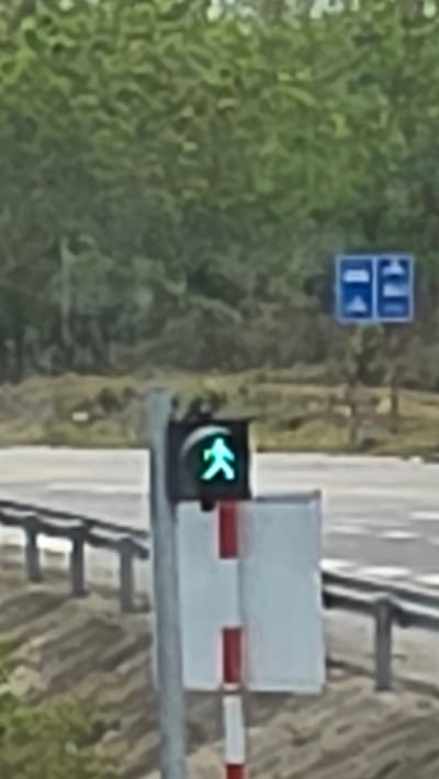 The image shows a railway crossing in Đăk La, Vietnam. A green arrow traffic light is illuminated, indicating permission to proceed. A railway crossing barrier is present, with white and red horizontal stripes. A blue sign with directional arrows is visible in the background. Green foliage is present on the left side of the image. A road surface runs alongside the railway crossing.