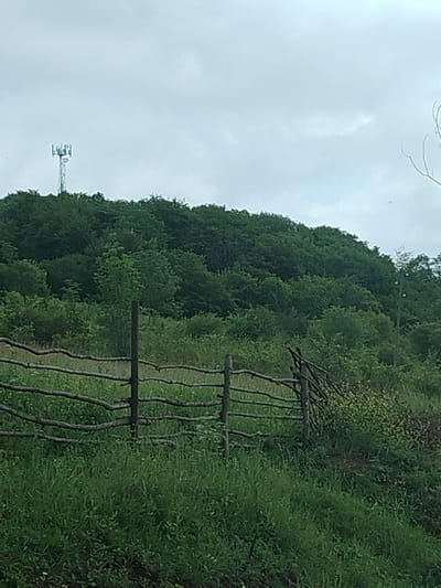The image captures a natural landscape with a rustic fence in the foreground and a forested hill in the background. A cell tower is visible on top of the hill. The sky is overcast. The fence is constructed from rough wooden branches and posts. The hill is covered in dense green foliage. The environment appears to be rural, possibly in the outskirts of Chekuraantgori, Georgia. There are no people visible in the image.