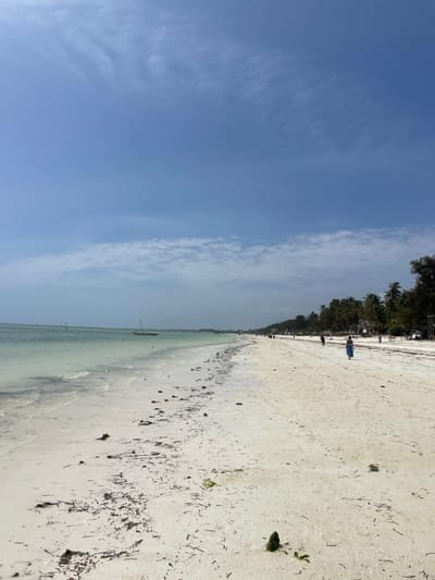 The image captures a serene, sunlit tropical beach scene, likely taken during the day under clear skies. The perspective is a wide landscape shot, extending along the coastline.

Approximately half of the frame is dominated by a bright, clear blue sky, with scattered, wispy white clouds primarily concentrated on the left side of the frame. The horizon line where the sky meets the distant land and ocean is well-defined.

Below the sky, the scene unfolds with a calm, shallow ocean meeting a wide expanse of light-colored sand. The water in the foreground, near the shore, is a very clear, light turquoise or pale green, indicating transparency and shallowness, with gentle ripples visible. Further out, the water takes on a slightly darker blue-green hue. In the distance, within the water, two or three small, dark, elongated boats (possibly canoes or traditional fishing boats) are visible.

The beach itself consists of fine, white or very pale yellow sand. However, the sand is not entirely clean; there is a significant amount of dark brown and black organic debris, likely seaweed or seagrass, washed up along the waterline and scattered across various parts of the drier sand. A few isolated clumps of brighter green vegetation are also visible on the sand, particularly towards the right side of the frame.

Along the far edge of the beach, where the sand transitions to land, there's a dense line of lush green palm trees and other tropical foliage, suggesting a coastal forest or resort area. A few small, indistinct human figures can be seen walking or standing on the distant beach near the tree line. One figure, slightly more prominent, appears to be wearing a blue top.

The overall impression is one of a warm, sunny day at a tropical or subtropical beach. There is no visible text in the image.