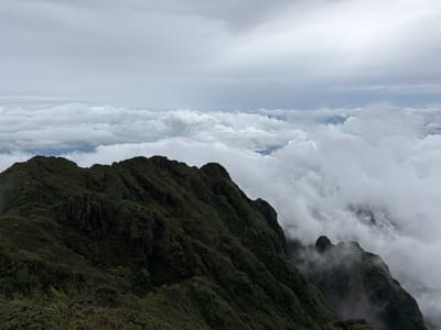 A sweeping, horizontal shot captures the rugged, verdant slopes of mountains in Bản Bo, Vietnam, disappearing into a sea of clouds. The foreground is dominated by the dark green, densely vegetated mountains, their ridges sharply defined against the overcast sky. The terrain is steep and irregular, with rocky outcrops peeking through the lush foliage. Wisps of white cloud cling to the mountain peaks, creating a mystical and somewhat dramatic atmosphere.

Beyond the immediate mountain range, a vast expanse of white clouds stretches to the horizon, layered and undulating. The sky above is a muted gray, suggesting a cloudy or perhaps rainy day. The overall impression is one of remoteness and wild, untamed nature. The time of day appears to be daytime, given the natural light, but the heavy cloud cover obscures any direct sunlight. No people or man-made objects are visible. The scene evokes a sense of awe and perhaps a touch of melancholy due to the somber weather.