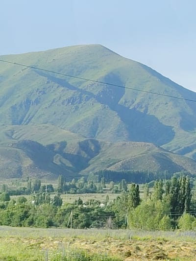 This media file captures a vast, undulating green mountain range under a clear, pale blue sky. A thin, dark power line traverses the image horizontally, cutting across the face of the mountains. The mountain slopes are textured with shadows and lighter areas, suggesting the play of sunlight on their uneven surfaces.
Below the mountains, a lush green landscape unfolds, dotted with numerous trees and foliage. There's a sense of a rural or semi-rural setting, with hints of a village or scattered dwellings amidst the greenery. The foreground features a field, possibly a meadow or cultivated land, with dry, cut vegetation and some scattered green growth. The overall impression is one of a serene, natural landscape, likely captured during the daytime with fair weather. The location cues, such as the style of the power lines and the mountainous terrain, are consistent with the provided location context of Temir, Kyrgyzstan. No people or specific activities are discernable, emphasizing the natural beauty of the scene. There is no visible text in the image.