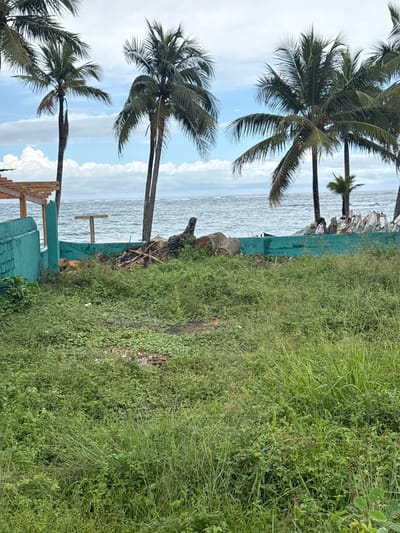 The image shows a beach scene in Cabarete, Dominican Republic. Three palm trees are visible along the shoreline, with the ocean and sky in the background. To the right, dense green vegetation grows up to a low, turquoise-colored wall. A partial wooden structure is visible at the bottom left of the image, possibly part of a building or shelter. Several people are located in the background near the water.