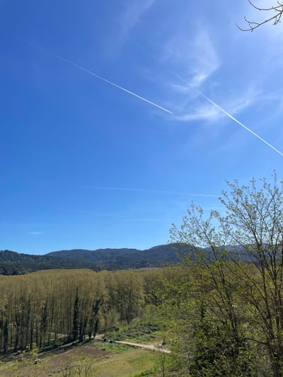The image depicts a landscape in Hostalric, Spain. A clear blue sky with contrails is visible above a dense row of trees and a mountain range. To the right of the trees, there is a field or open area. The scene is bathed in daylight.