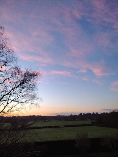 An elevated landscape view depicts a rural scene at twilight, likely in the New Forest, United Kingdom. The upper two-thirds of the image show a sky transitioning from light blue at the zenith to pale orange and yellow at the horizon, with scattered, thin pink cirrus clouds. In the midground, multiple verdant fields, divided by dark, linear hedges, extend horizontally across the frame. A line of distant, dark deciduous trees forms the horizon, behind which a faint, dark spire-like structure is visible on the right. The foreground on the left features the bare, dark branches of a deciduous tree, silhouetted against the sky and extending into the top left quadrant. The lower foreground is dark and obscured. No individuals or animals are present. The lighting suggests either sunrise or sunset.