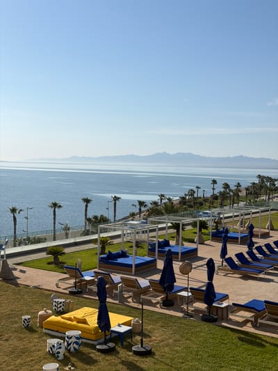 The image depicts a coastal resort scene in Nador, Morocco. The view is from an elevated position, possibly a balcony or upper floor of a building, overlooking the sea. The sky is predominantly clear blue, occupying a significant portion of the left side of the frame.
The sea stretches along the middle ground, reflecting the sky's light. Distant mountains are visible on the horizon, fading into the hazy atmosphere.
The right side of the image showcases the resort's grounds. Rows of sun loungers with blue umbrellas are arranged neatly on a paved area, interspersed with patches of green grass and palm trees. A white railing suggests a pathway or boundary along the coastline. A single yellow-themed seating and sunbathing arrangement stands out. There is no visible people and their interaction in the photograph.