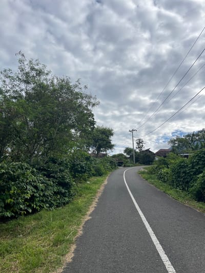 The image depicts a narrow, asphalt road curving through a rural landscape. Lush green vegetation lines both sides of the road, with dense bushes and trees. In the distance, several houses with traditional roofs are visible amongst the trees. Utility poles with wires stretch across the sky, which is filled with a mix of white and grey clouds. The road has a single white line down the center. The scene appears to be a quiet, scenic path in a village setting.