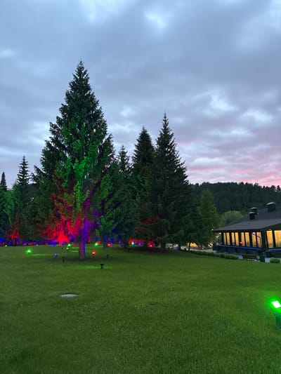 Here is a description of the image:

The image depicts a twilight scene in Belokurikha, Russia. In the foreground, there are several coniferous trees illuminated by red, green, and blue lights. The trees are planted along a grassy lawn. In the background is a building with illuminated windows and a dark, forested hill. The sky is a mix of grey clouds and pink hues, suggesting a setting or rising sun. The lighting suggests an event or decorative setup. The scene appears to be outdoors, possibly a park or recreational area, given the presence of grass, trees, and decorative lighting.