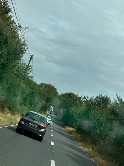 A dark-colored hatchback car with license plate "201 D-611" is driving on a paved road in a rural area. The car is in the foreground, angled towards the right of the frame. There are two other cars behind it on the same road. The road is lined with trees and vegetation on both sides. Overhead, power lines are visible, and a bird is perched on one of the poles. The sky is overcast with grey clouds. The scene appears to be a street in the New Ross Municipal District, Ireland, based on the license plate format.