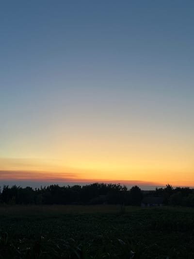An outdoor, low-angle, vertical, full shot captures a serene sunset scene over a rural landscape. The sky transitions from a deep, clear blue at the top to a soft gradient of orange and yellow hues near the horizon, indicative of twilight. A thin band of reddish-orange clouds is visible just above the tree line.

Dominating the lower half of the image is a dark silhouette of a dense line of trees, interspersed with the faint outlines of a few small buildings. The foreground features a field of dark green crops, possibly corn, with some stalks visible closer to the viewer. The overall impression is one of tranquility and the end of a day in a rural setting, likely in Busheve, Ukraine, given the information provided. There are no people or animals visible in the frame. The lighting suggests it is late evening, just after sunset.