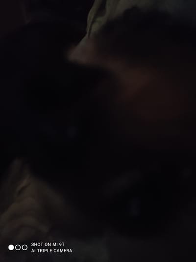 The media file is a dark, abstract image with subtle hints of form. The primary subject appears to be a person, possibly a face, suggested by a faint outline on the left side of the frame. The rest of the image is dominated by deep shadows, with some muted, diffused light on the right, creating a moody and perhaps melancholic atmosphere. The setting is unclear due to the darkness, but the quality of the light and shadows suggests it might be indoors or outdoors at night. There is no clear activity or event taking place; the image seems to be a still, contemplative moment.
Notable details include the overall low-light conditions, which obscure many details and contribute to the somber mood. The presence of a watermark on the right side indicates that the photo was taken with a "MI 9T AI TRIPLE CAMERA" smartphone. The location context provided is Bagnoli di Sopra, Italy, but this information cannot be visually confirmed from the image itself. There are no specific time of day or weather cues discernible. The emotion conveyed is one of mystery and introspection, stemming from the obscured human form and the prevailing darkness.