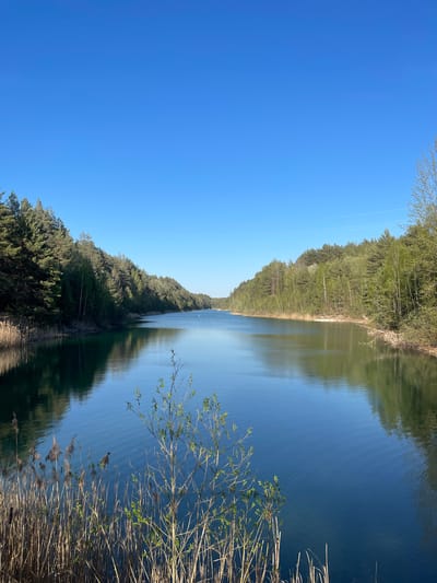 The image shows a body of water, likely a lake or pond, bordered by a forest. The water surface reflects the sky and trees. Reeds and branches are visible in the foreground along the water's edge. The sky is clear and blue. The location is suggested to be in Краснасельскі сельскі Савет, Belarus.