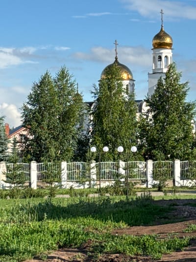 The image depicts the Church of the Transfiguration in Chesnokovka, Russia, on a clear day with scattered clouds. A white fence with decorative elements runs horizontally across the middle ground, separating the foreground from the background. Behind the fence, several evergreen trees are visible, interspersed with larger deciduous trees. The church itself features two prominent golden domes topped with crosses, and a white bell tower with a clock. A section of a pink and white building is visible to the left of the church, partially obscured by trees. The foreground consists of a grassy area with some dirt patches. There are no people or animals visible in the image.