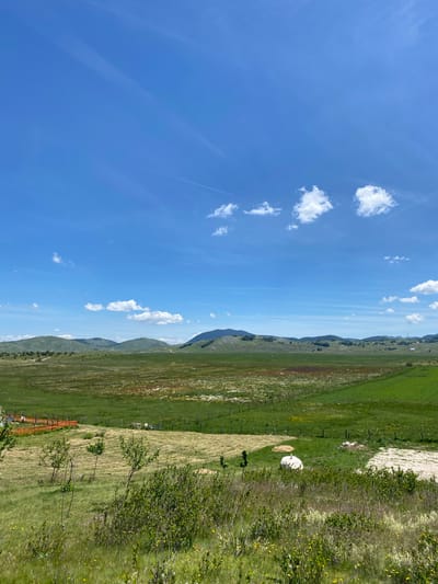 The image depicts a wide, panoramic view of a rolling landscape under a bright blue sky with scattered white clouds and contrails. The foreground features a patch of wild grass and bushes dotted with yellow flowers, with a few small trees. Further back, the land transitions into cultivated fields, some appearing mown with visible rows, and others lush green. A small orange fence is visible on the left, near a mown patch of land. In the middle ground, a large white cylindrical object, possibly a water tank or silo, sits in a grassy area. In the background, a series of green hills and mountains form a natural horizon. The overall scene suggests a rural environment in Javorje, Montenegro, characterized by open fields, agricultural land, and natural topography under a clear, sunny sky. There are no people or animals visible in the image.