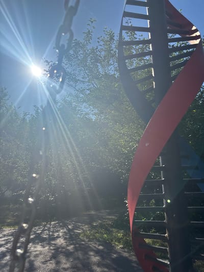 An outdoor scene in Belovo, Russia, captures a DNA sculpture bathed in bright sunlight. The sculpture, a helix shape, is partially visible on the right side of the frame, with one red band and what appears to be a blue band. In the foreground on the left, a metal chain hangs, silhouetted against the bright sky and sunbeams. Trees with green foliage form a backdrop, with dappled sunlight and shadows on a path or ground below. The sky is clear blue.
