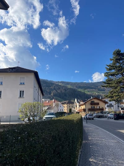 The image depicts a residential scene in Sterzing-Vipiteno, Italy. In the foreground, there is a two-story building with a light beige facade and dark brown roof. The building has multiple rectangular windows. A tree with sparse foliage is next to the building, partially obscured by a tall, green hedge. Beyond the hedge, a paved road runs alongside a row of parked cars. Further in the background, several buildings of varying heights and architectural styles stretch along the mountainside. A steep, green mountain covered in trees slopes upward, reaching the sky. The sky is bright blue with scattered white clouds. A few tree branches are visible at the top of the frame.
