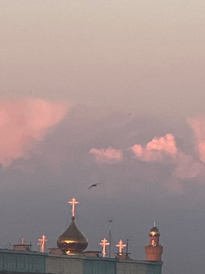 The image shows a view of building rooftops and the sky at dusk. Several structures with golden domes and crosses are visible, likely belonging to religious buildings. The sky is filled with soft pink and gray clouds, indicating sunset or sunrise. A single bird is captured in flight against the cloudy backdrop. The overall impression is one of serene, urban architecture against a colorful sky. The specific location in Satbayev, Kazakhstan is not identifiable from the visual elements alone.