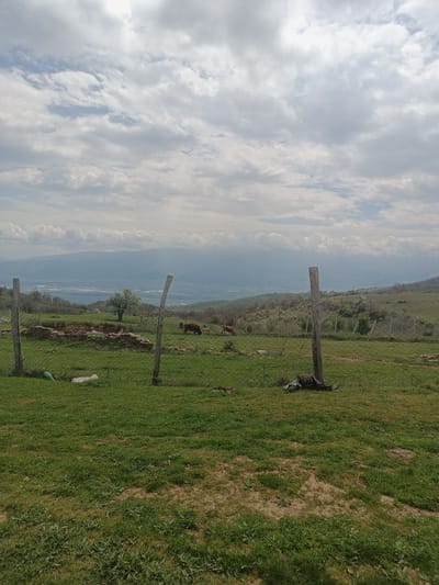 The scene is a rural landscape likely located near Gyurgevo, Bulgaria, as specified in the prompt. The foreground consists of a grassy field with patches of bare earth. A wire fence, supported by weathered wooden posts, runs across the middle ground. Behind the fence, two brown cows are grazing on the hillside. In the distance, there is a valley with hints of a body of water. The sky is overcast with a heavy cloud cover. Also visible is a ruined structure of brick.