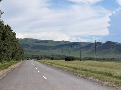 A paved road with white dashed lines runs through a rural landscape. On the left side of the road is a dense line of green trees. On the right side of the road is a field of tall, light green grass. In the distance, rolling green hills with scattered trees are visible under a blue sky with white clouds. A single white car is driving away from the camera on the road. Several utility poles are spaced along the side of the road, with wires strung between them. The scene appears to be a daytime landscape shot in Алексеевка, Russia.