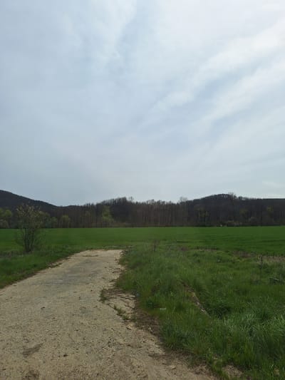The image depicts a landscape in Gorna Rositsa, Bulgaria. On the left, the sky is visible with scattered clouds. A tree-covered hill or mountain ridge runs along the right side, meeting a green field. A dirt or gravel path runs along the right edge of the image.