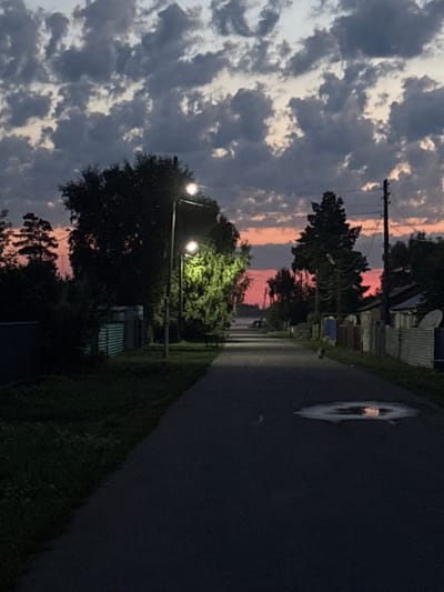 The image depicts a rural road at dusk in the village of Voroshilovka, Kazakhstan. The sky is filled with dramatic, dark clouds interspersed with patches of pink and orange light from the setting sun. Tall trees line the left side of the road, with some appearing as dark silhouettes against the colorful sky. Streetlights are visible along the road, illuminating sections of the asphalt. On the right side of the road, there are houses with corrugated metal fences. A puddle reflecting the sky is visible on the road in the foreground. A small, light-colored animal, possibly a cat or a dog, is visible in the middle distance on the right side of the road. The overall impression is one of a quiet, twilight scene in a rural setting.
