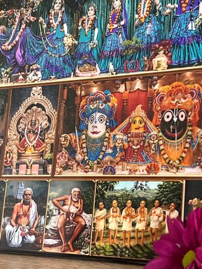 The image displays a religious altar, likely within a temple or devotional space. The main subjects are several devotional statues, appearing to be deities or religious figures, adorned with vibrant clothing and floral garlands. The statues are arranged on shelves, with elaborate backdrops and decorative elements.
In the upper section of the image, three large statues are prominently displayed. They are dressed in richly colored, patterned robes, primarily in shades of blue and purple, with intricate jewelry and headwear. The central figure is flanked by two others. Below these figures, smaller decorative items and offerings are visible.
The middle section of the image features a series of framed paintings or panels. One panel on the left depicts a multi-headed serpent deity. To its right, a large statue with a dark face, prominent eyes, and a red mouth is shown wearing an orange headdress and floral garlands. Next to this, a yellow-faced deity is depicted.
The lower section of the image contains more framed depictions. On the left, a painting shows a seated man in white robes, wearing a garland. Next to it, another painting features a seated man with a beard, also in white cloth, holding something in his hands. Further to the right, a group of young figures in white garments stand in a landscape.
A blurred, bright pink flower is in the foreground, partially obscuring the bottom right portion of the image.
The image does not contain any information or visual cues to suggest a location in Bunbeg, Ireland. The scene is consistent with a Hindu temple or devotional setting, given the iconography and style of the deities and figures.