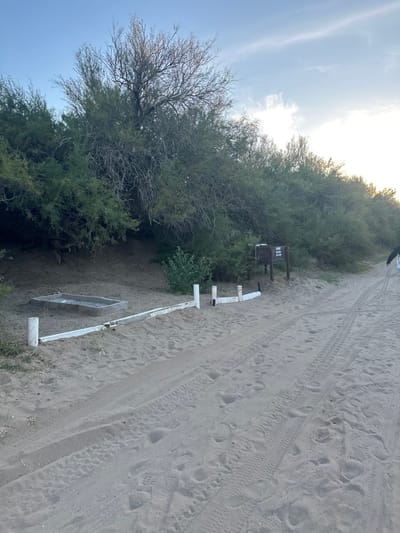 This forensic description details an outdoor scene in Mar del Tuyú, Argentina. The image displays a sandy environment dominated by a wide, light-brown pathway exhibiting multiple vehicle tire tracks and human footprints. To the left of the path, a low white barrier composed of four cylindrical posts interconnected by a horizontal beam is partially embedded in the sand. Immediately behind this barrier, a rectangular concrete basin, approximately one meter in length, is recessed into the sandy ground and contains small stones or gravel.
A dense line of coastal vegetation, primarily green bushes and trees, forms a backdrop across the entire width of the scene. A taller, more deciduous tree with a significant number of bare branches is visible centrally within this vegetation line. Towards the right side, within the vegetated area and near the path, a dark wooden informational sign, approximately one meter tall, stands on two posts. A partially visible human figure, dressed in a dark garment, is present on the extreme right edge of the frame, facing away from the viewer. The sky above is blue with scattered white clouds, suggesting natural daylight conditions, possibly late afternoon or early morning.