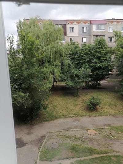 The image depicts a residential courtyard in Kuznetsk, Russia, on an overcast day. In the background, a multi-story brick apartment building stands, characterized by its light-colored bricks, red and brown pitched roofs over balconies and sections, and numerous windows of varying sizes. The building exhibits a somewhat aged appearance, with some sections showing signs of repair or differing construction materials.
In the foreground and midground, a variety of trees dominate the scene. A large weeping willow with its distinctive hanging branches is prominent, partially obscuring the building. Beside it, a denser deciduous tree with broad green leaves stands tall. Smaller trees and shrubs are scattered throughout the courtyard, interspersed with areas of dry grass and some patches of bare earth or gravel. A worn asphalt path or road runs through the courtyard, with a circular manhole cover visible on the lower right. There are some discarded pieces of cardboard or debris on the ground. No people are visible in the image. The overall impression is one of a typical urban courtyard in a residential district.
