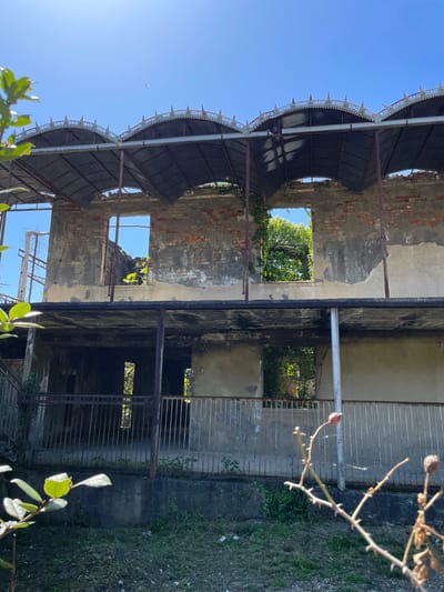 The image captures a scene of an abandoned, multi-story building structure under a clear blue sky. No people are visible.

The main subject is a large, dilapidated building, likely a former grand public edifice or mansion, characterized by crumbling concrete and plaster walls that reveal exposed brickwork underneath. The structure features several open rectangular window or door frames, through which distant green trees and the bright sky are visible. Dark metal support beams are interspersed throughout the interior, suggesting the skeletal remains of floors or ceilings. On the right side of the lower level, a metal railing or grate is visible.

A prominent feature is an ornate, curved architectural element at the upper left, possibly the remnant of a roofline, a decorative arch, or a balcony. This section is adorned with a series of regularly spaced, decorative white finials or spires along its edge.

Vegetation is a significant element, indicating the long-term abandonment of the site. Lush green leaves are present in the bottom left foreground, while vines are seen growing on the building's walls. A thorny, leafless branch with small, dried seed pods or berries extends into the upper right portion of the frame, slightly out of focus.

The scene depicts a sunny day with a vibrant, cloudless blue sky. Strong natural light casts bright highlights on the architectural details and vegetation, contrasting with deep shadows within the building's recesses. The overall impression is one of decay and nature's slow reclamation of a man-made structure. There is no activity taking place, and no visible text. The location context is Psakhara, Abkhazia.