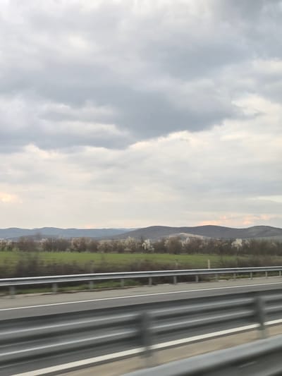 The image displays an overcast rural landscape captured from a moving vehicle, located in the vicinity of Yazdach, Bulgaria. In the immediate foreground, blurred silver-grey metal highway guardrails are visible, positioned above a segment of an asphalt road with distinct white lane markings. Beyond the road, a vibrant green field stretches horizontally, bordered by a line of deciduous trees or bushes. Many of these trees exhibit patches of white blossoms, indicative of early spring. The background features multiple layers of dark, rolling hills or low mountains under a predominantly grey, cloudy sky. A faint, pale orange and pink hue is visible on the horizon towards the left side of the frame. No individuals, specific actions, or interactions are present in the scene.