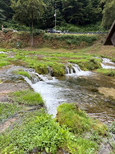 The image depicts a serene natural scene with a shallow, clear stream flowing over rocks and creating small waterfalls. Lush green vegetation, including grass and various plants, lines the banks of the stream. In the background, a wooded area with dense trees rises up a slope, and a road with several cars parked or driving along it is visible. The overall environment suggests a peaceful, natural setting, likely in a rural or park-like area. The location in Ćusine, Bosnia and Herzegovina, implies a connection to the natural beauty of the region, possibly a popular spot for recreation or sightseeing.