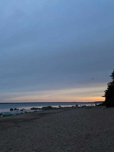 An outdoor, wide shot captures a beach scene at dusk with a person standing on the sandy shore. The sky is a gradient of deep blue at the top, transitioning to pale orange and pink near the horizon. A body of water, likely the Gulf of Finland, stretches across the lower third of the image, with scattered rocks visible along the shoreline. In the distance, a faint silhouette of industrial structures can be seen on the horizon, hinting at the proximity of the city of Primorsk, Russia, which is known for its oil terminal and industrial facilities. A lone figure, silhouetted against the fading light, stands near the right edge of the frame, facing the water. The beach is composed of dark sand with scattered debris like twigs and leaves. A cluster of trees, predominantly coniferous, occupies the far right side of the image, with their dark silhouettes contrasting against the lighter sky. The overall atmosphere is serene and tranquil, characterized by the muted colors and the quiet presence of the solitary individual.