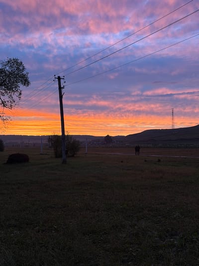 The image depicts a rural landscape at dusk, with a vibrant sunset casting a palette of pink, orange, and blue hues across the sky. A solitary wooden utility pole stands prominently in the foreground, supporting multiple power lines that stretch across the frame. To the left, a tree with sparse foliage is silhouetted against the colorful sky. The middle ground features a field with a large, dark, round object, possibly a hay bale or manure pile, and a cluster of bushes. In the distance, a rolling hill is visible, topped with a tall, slender tower structure, likely a radio or cell tower. Two figures, appearing as dark silhouettes, are walking on a path in the middle distance on the right side of the frame, moving away from the viewer. The overall setting suggests a tranquil, outdoor scene in a rural area, possibly near the village of Subkhankulovo in Russia, given the context provided, characterized by open fields, utility infrastructure, and natural light phenomena.