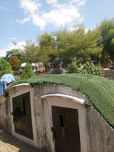 The image depicts a scene in a park or garden setting in Darsono, Indonesia. In the foreground, there are two dark doors set into a curved, earth-toned structure that is covered with lush green vegetation. The doors have rectangular openings and metal latches. The structure's exterior walls show signs of weathering and water streaks. To the left of the structure, a blue towel is draped over an unseen object.
Behind the structure, a vibrant landscape unfolds. Numerous trees with green foliage dominate the midground and background, with some appearing to be bamboo. The sky above is a bright blue with scattered white clouds. Further back, several structures, possibly small buildings or gazebos with thatched roofs, are visible amongst the trees. In the right portion of the midground, a set of outdoor stairs leads upwards. Colorful, abstract garden decorations with spherical elements are also present. The ground in the immediate foreground appears to be paved with textured bricks or stones.