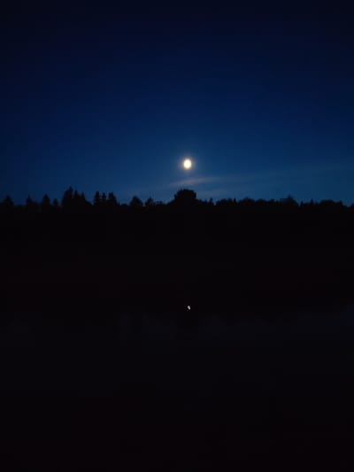 The image depicts a night scene, likely near a body of water, given the dark reflective surface in the foreground. A line of trees forms a dark silhouette against the night sky. The moon is visible in the upper center of the frame, providing the primary light source. The overall tone is dark and still. There's no specific information to suggest this image is taken in the city of Uzhla, Russia. No people or objects are visible other than trees, water, and the moon.