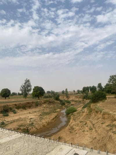 The image depicts a rural or semi-rural landscape in Wuciciri, Nigeria, under a partly cloudy sky. In the immediate foreground, a light-colored concrete structure, likely part of a bridge or elevated path, is visible with multiple U-shaped rebar loops protruding from its surface. This concrete shows signs of cracking.
The midground features a winding, shallow streambed or gully with eroded, sandy-brown banks. A narrow stream of dark, low-volume water flows through its center. Sparse green bushes and dry vegetation line the gully and the surrounding ground. The terrain beyond the gully consists predominantly of dry, light brown soil with scattered patches of green. Numerous trees are distributed across the scene, including taller, slender trees with lighter foliage and denser, round-canopied trees with dark green leaves. To the left of the gully, an agricultural field with visible rows of green plants is present.
The background shows additional trees and what appear to be cultivated or wild lands, receding into a hazy horizon. The upper portion of the image is dominated by a pale blue sky dotted with numerous scattered white, patchy clouds. No people, animals, or active human interactions are visible.