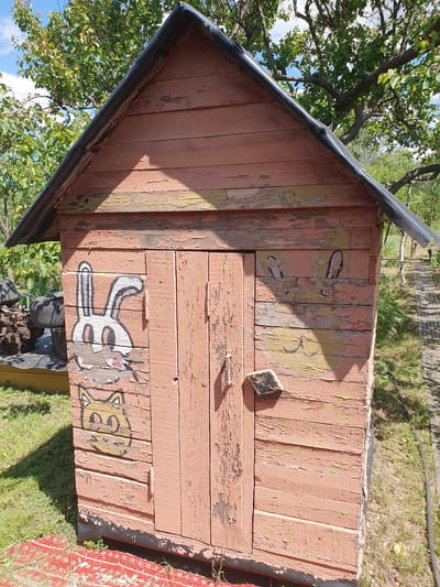 A weathered, pink wooden shed with peeling paint stands in an outdoor environment. The shed has a dark, angled roof and a central double door. On the left side of the shed, painted images of a white rabbit with large ears and pink cheeks, and below it, a yellow cat with green eyes are visible. On the right side of the shed, faint outlines of what appear to be two rabbit ears and facial features are painted. The shed is surrounded by green grass, some dry vegetation, and a red rug or mat on the ground in the foreground. Trees with green leaves are present in the background, and a pathway made of grey paving stones is visible to the right of the shed. The sky is blue with scattered white clouds. This scene is located in Novoivanivka, Ukraine.