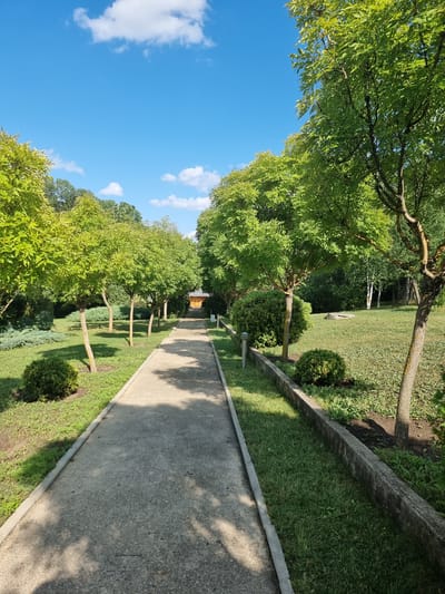 The image depicts a park pathway with lush green trees lining both sides. The pathway is paved with concrete and is flanked by well-maintained grass. Several small, round bushes are planted on the left side of the path. In the distance, at the end of the pathway, a small wooden structure is visible. The sky is a clear blue with a few white clouds, suggesting a pleasant day. The overall scene conveys a sense of tranquility and natural beauty. While the image is not explicitly geotagged, similar scenes of manicured park landscapes with pathways and trees are common in public spaces within cities like Hagimus, Moldova.