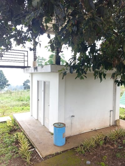The scene depicts a small, white, single-story building located in Man Gyat, Myanmar. The rectangular structure, featuring two white panel doors on its front facade, stands on a concrete slab foundation that extends around it. A light blue metal barrel with a matching lid is positioned on the concrete to the right of the doors. A spigot protrudes from the building's white wall above the barrel, with a vertical pipe running along the building's far right corner. The flat roof of the building exhibits a slightly discolored edge. Two dark, cylindrical objects, each wrapped with a striped fabric, are visible standing on the roof. To the left of the building, an elevated structure with a black metal railing is present.
Overhanging the building and upper portion of the frame is the dense foliage of a large tree with dark green leaves, from which several dark, ovoid fruits are suspended. The immediate ground surrounding the concrete slab is composed of dirt with rows of slender, green and yellow-striped plants. Beyond this cultivated strip, the environment extends into an unkempt field of green and light brown vegetation, stretching towards a hazy horizon dotted with distant trees under an overcast sky. No individuals are present in the image.